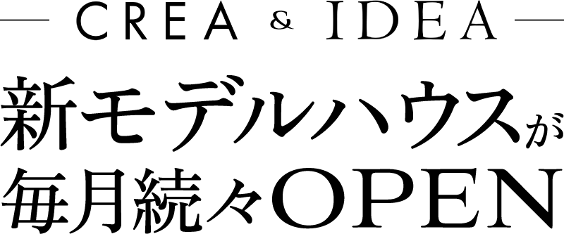 ニューモデルハウス、デビュー